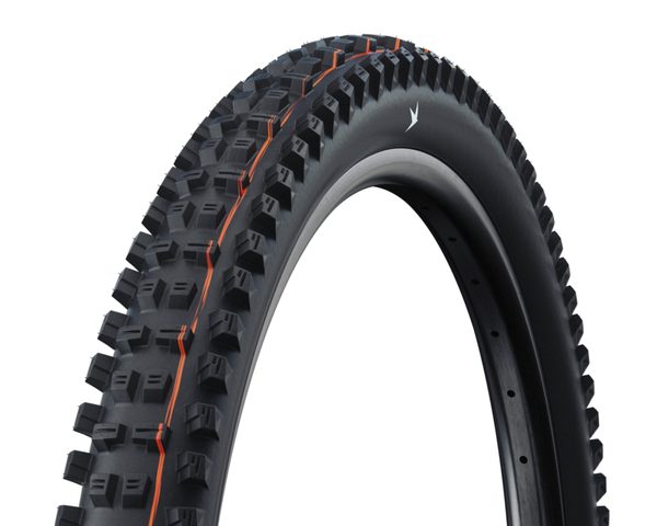 Schwalbe Magic Mary (F) + Tacky Chan (R)