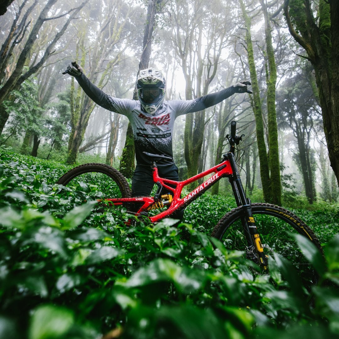 REVELLI Loris